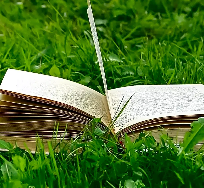 5 Books to Read If You Love the Geocities Story