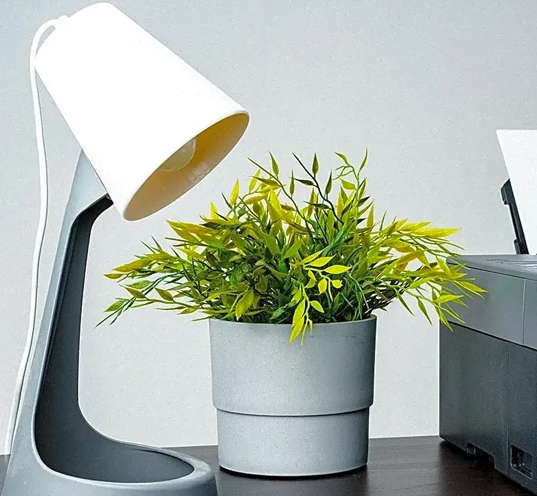 Why Photo Printers Surprise First-Time Users
