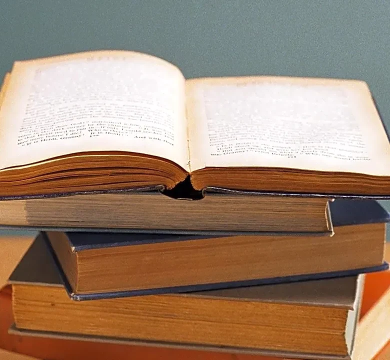 5 Books to Read If You Love the Mistral U.S. Presence Story