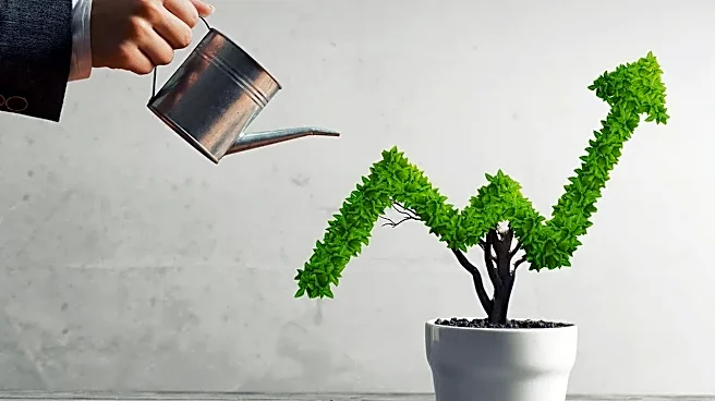 If McAfee's Story Fascinates You, Study These 5 Companies Next