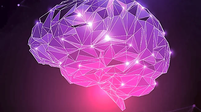 Why Convolutional Neural Networks (CNNs) Surprise First-Time Practitioners