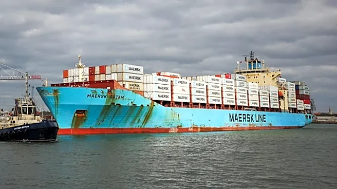 Inside Docker Inc.'s Market Cap and the Single Decision That Built It