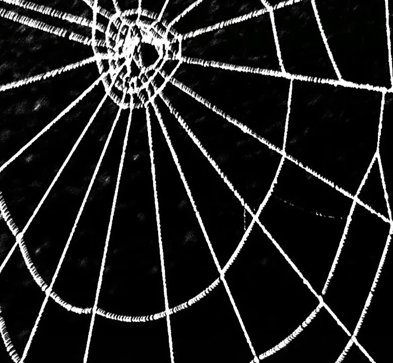 Why Django Won the Framework Wars