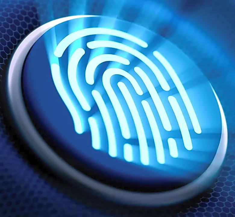 How Fingerprinting Quietly Underpins Modern Networks