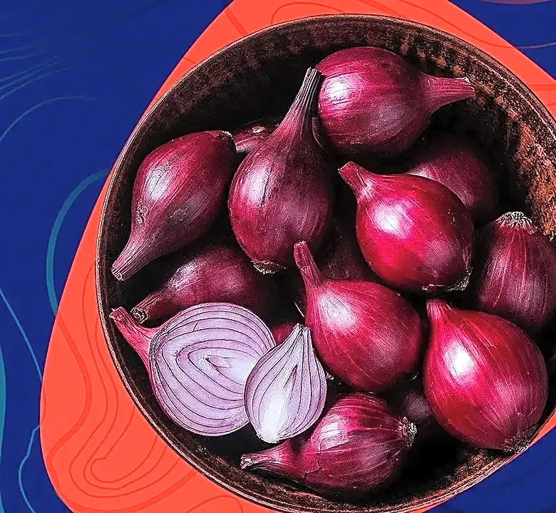The Real Reason Onion Routing Was Designed the Way It Was
