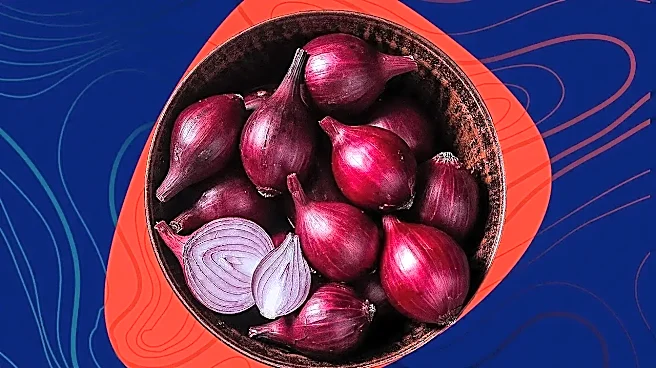 The Real Reason Onion Routing Was Designed the Way It Was