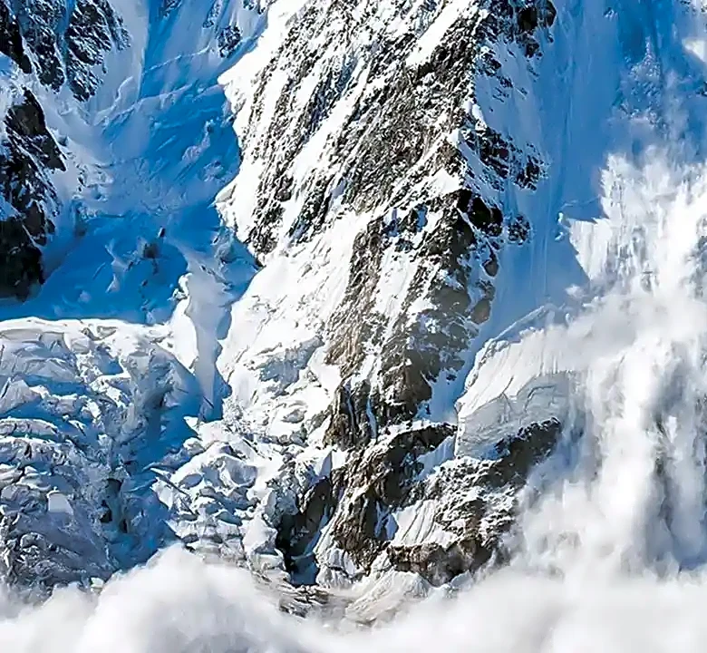 The Real Reason Avalanche Survived the Last Crash