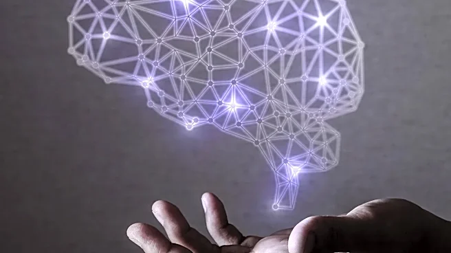 Why ResNet Architecture Surprises First-Time Practitioners