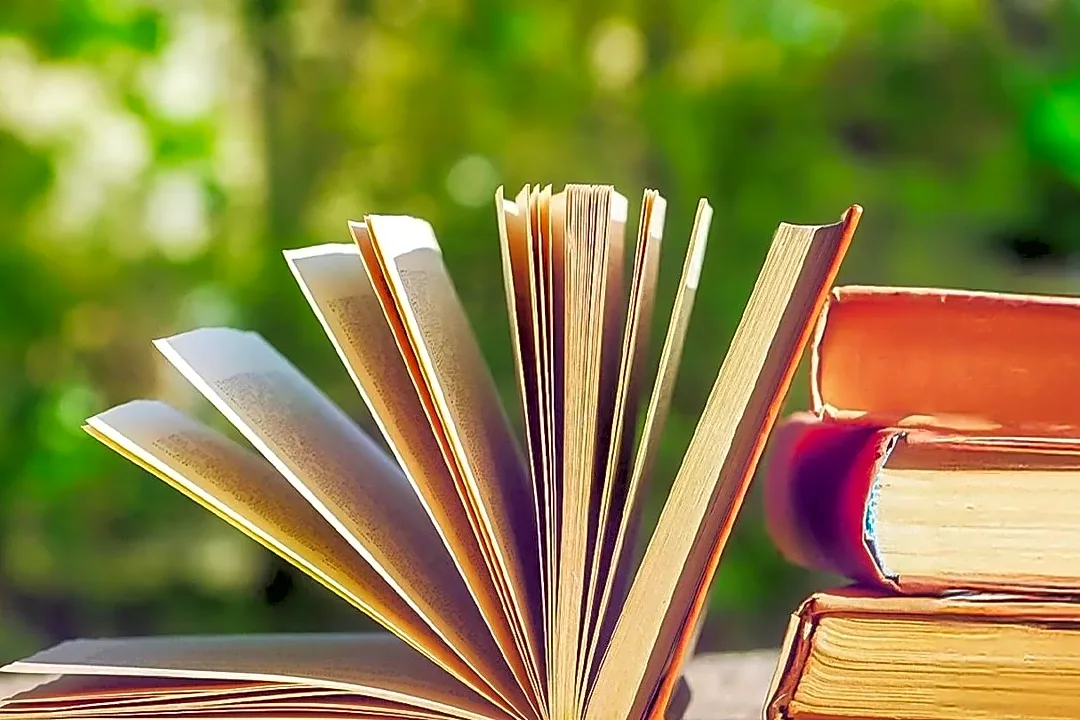 5 Books to Read If You Love the TikTok U.S. Story