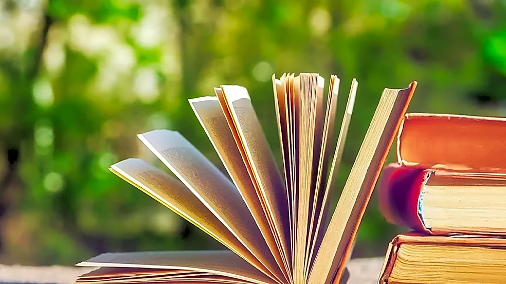 5 Books to Read If You Love the TikTok U.S. Story
