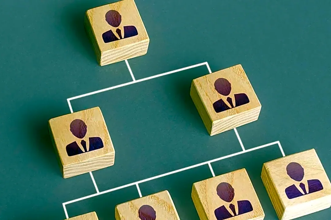 7 Frameworks That Pair Well With Roelof Botha