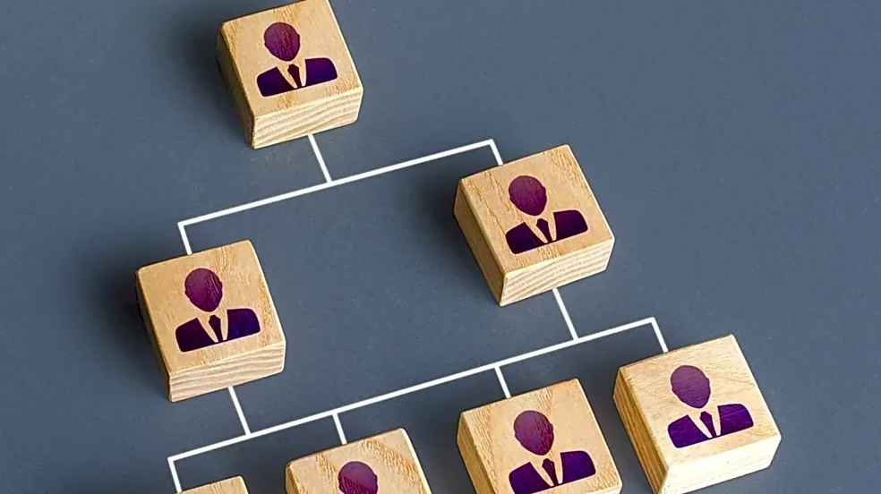 7 Frameworks That Pair Well With Roelof Botha