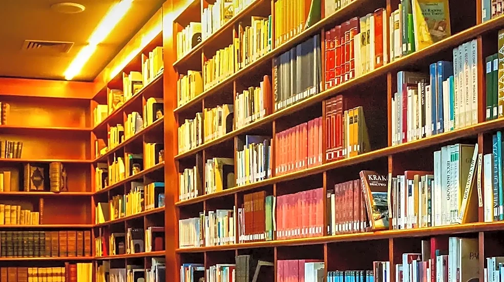 5 Books to Read If You Love the Avaya Story