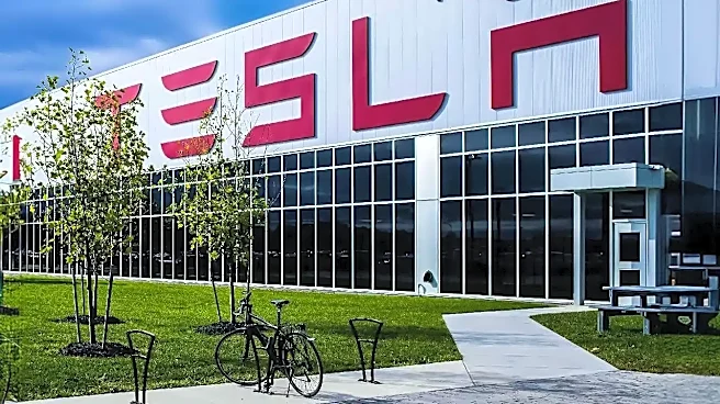 If Tesla's Story Fascinates You, Study These 5 Companies Next
