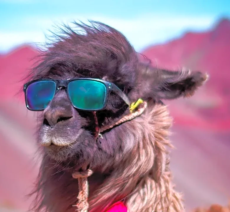 The Real Cost of Training Llama Models and Why It Matters to Meta's Margins
