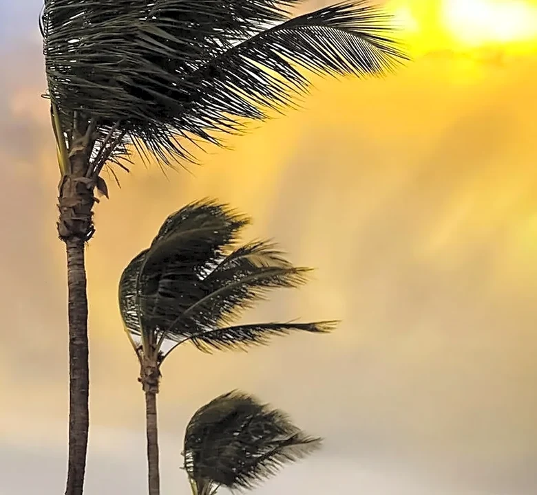 What is El Niño and how does it impact hurricane season?