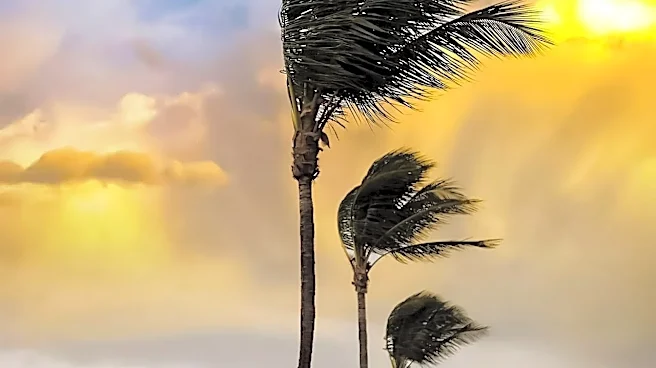 What is El Niño and how does it impact hurricane season?