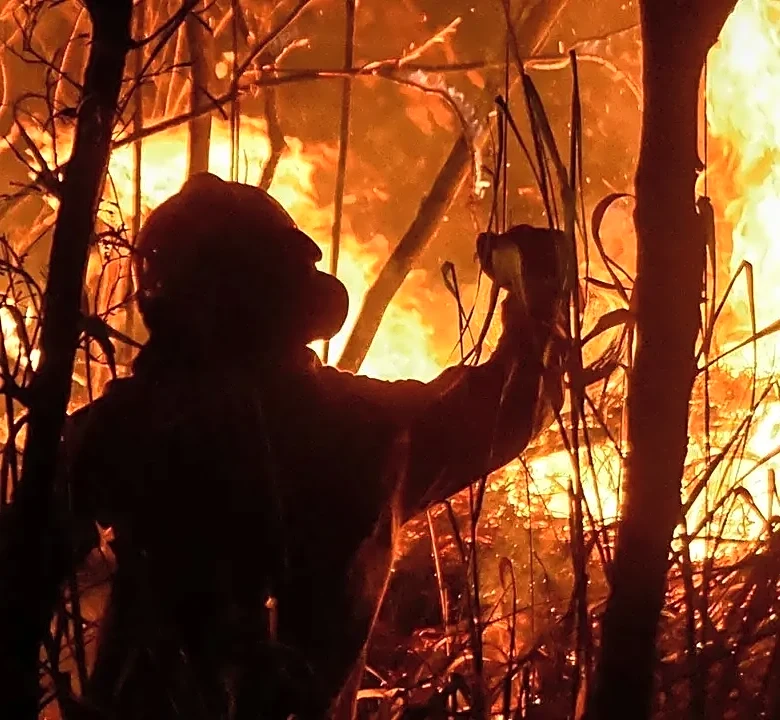 Are wildfires in Europe a new phenomenon?