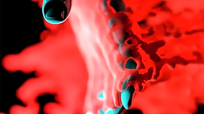 Why Ebola hasn't become a major health threat in the U.S.