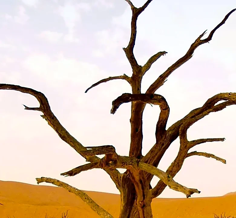 How extreme heat waves can lead to drought
