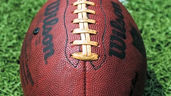 Fantasy football draft strategy: the best value at each flex position