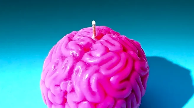 The everyday habit that could keep your brain younger