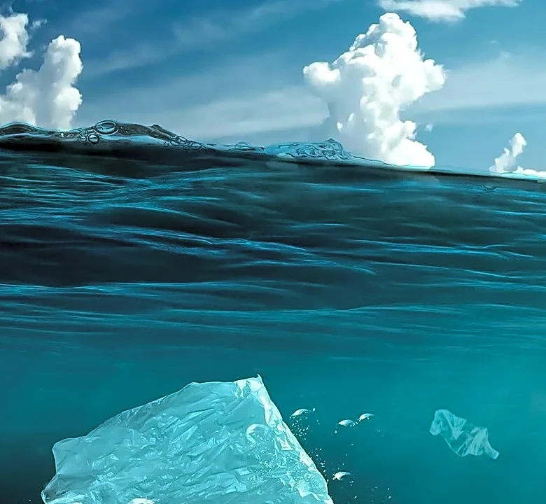 What happens when the ocean gets too hot? Scientists are learning