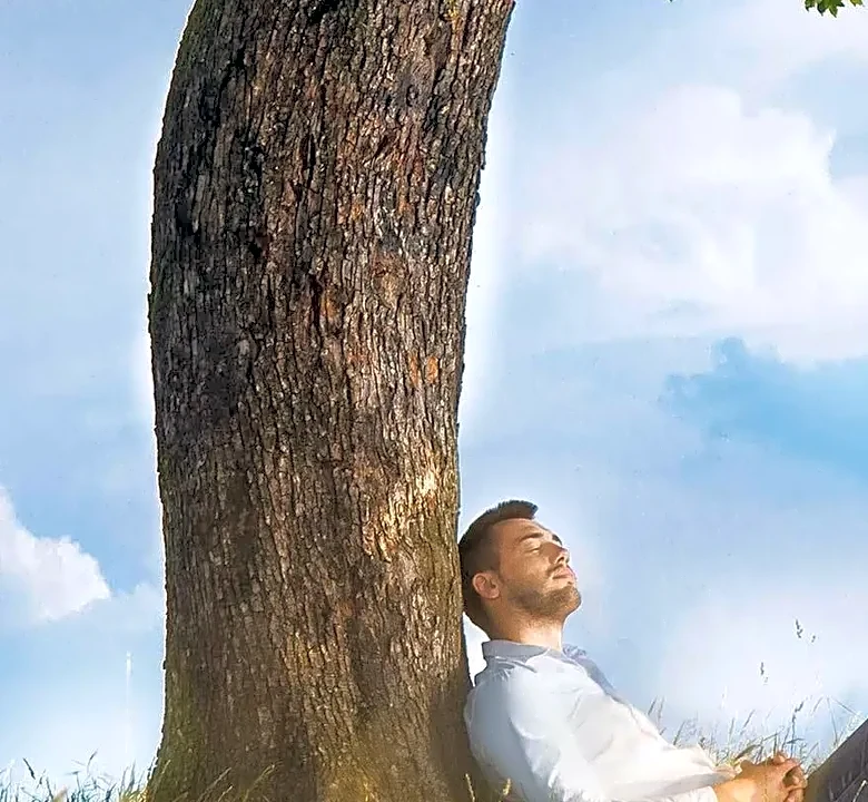 Why spending time in nature is better for you than looking
at it