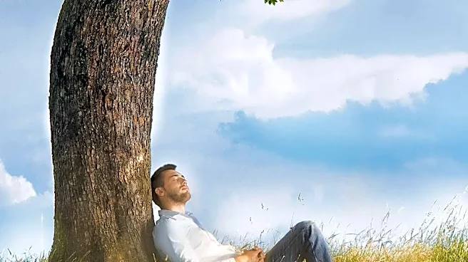 Why spending time in nature is better for you than looking
at it