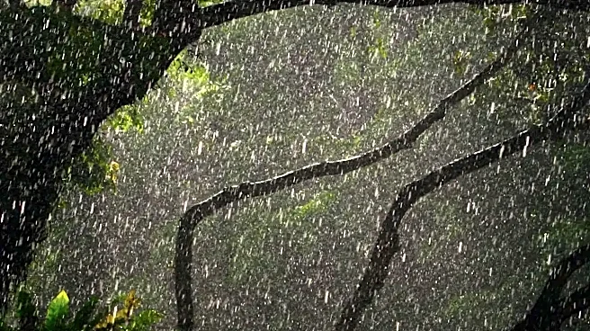 The surprising science behind the smell of rain