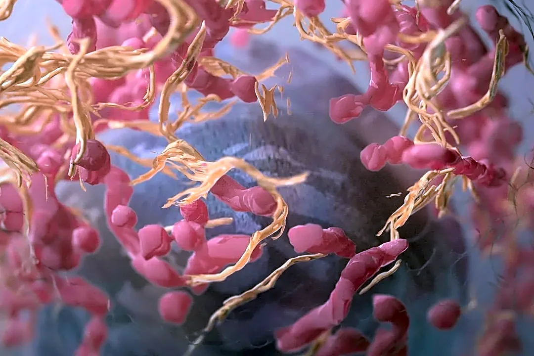 The surprising connection between gut health and sleep