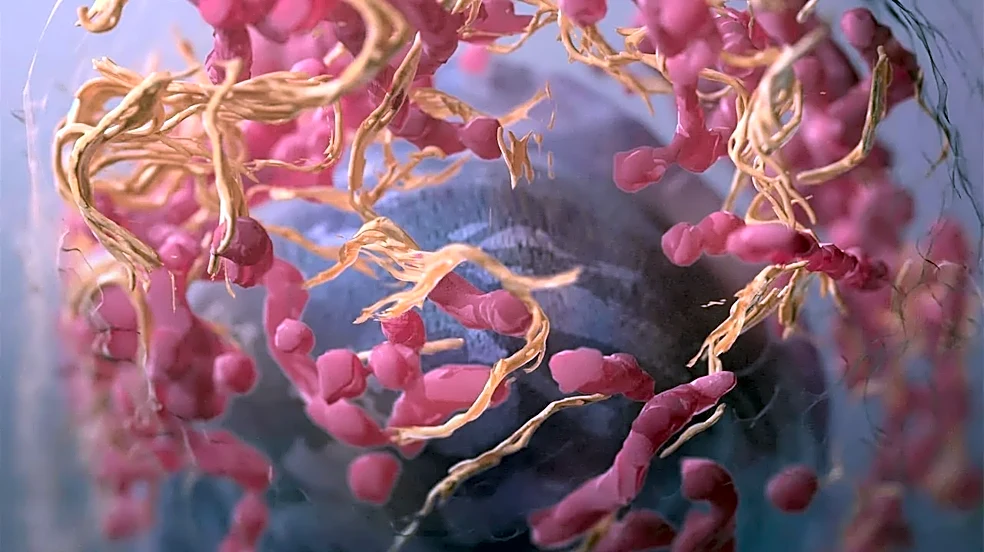 The surprising connection between gut health and sleep