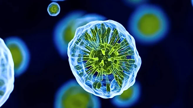How your gut microbiome changes as you age