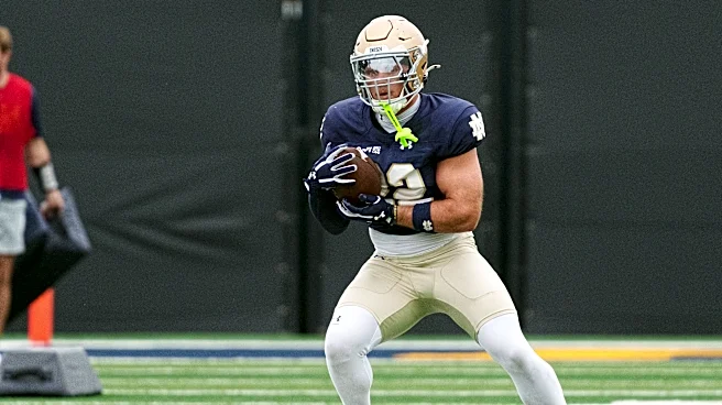 Watch Notre Dame's Aneyas Williams get 2nd touchdown against Wisconsin
