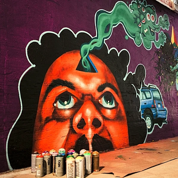 Duuuval Walls opens 600-foot public mural gallery in Jacksonville
