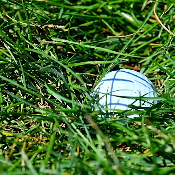 First Coast golf scorecard