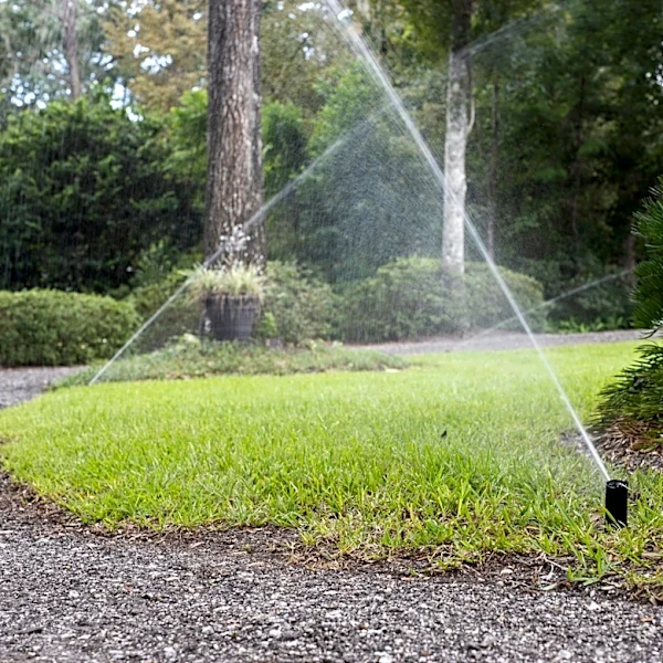 Stop fungal leaf spots from ruining your garden. Here's how.