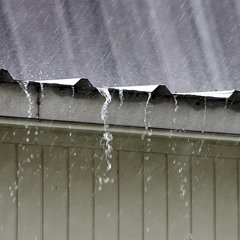 Protect your Florida garden from August heat damage. Here's how