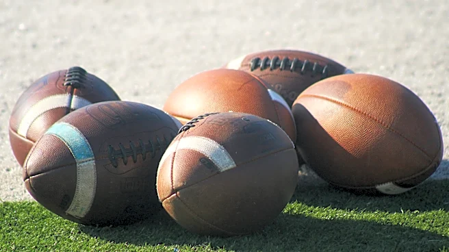 Vote: Jacksonville area's top RB entering Florida high school football