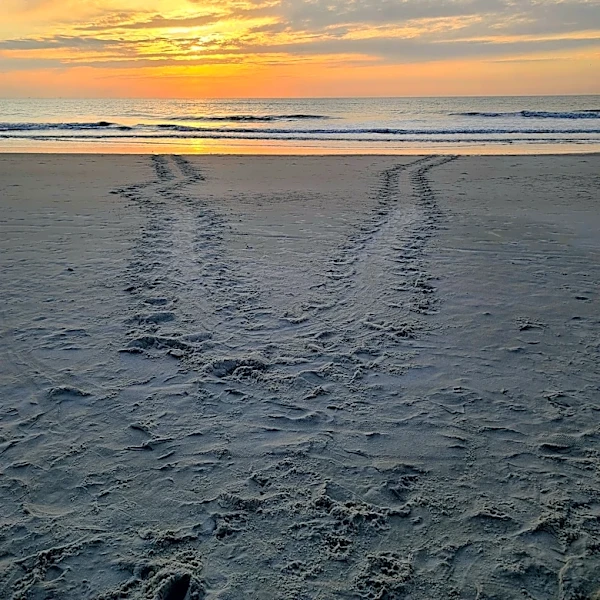 Jacksonville sunrise, sunsets times under permanent daylight saving time