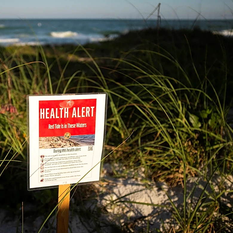 Red tide detected near Kingsley Plantation in Duval County