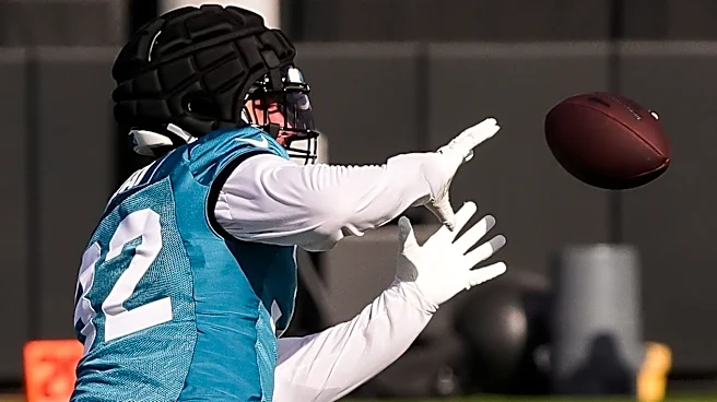 Jaguars already value veteran experience of linebacker Jahlani Tavai