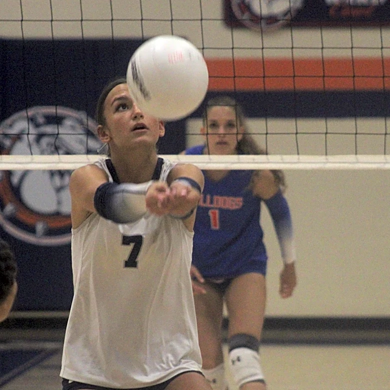 Volleyball's Open Division could include Jacksonville-area flavor
