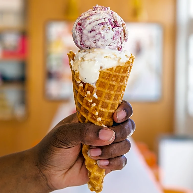 Jeni's Splendid Ice Creams plans first Northeast Florida shop