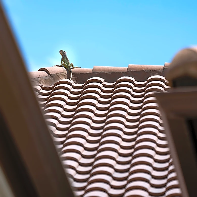 Jacksonville roofing pros for storm season protection