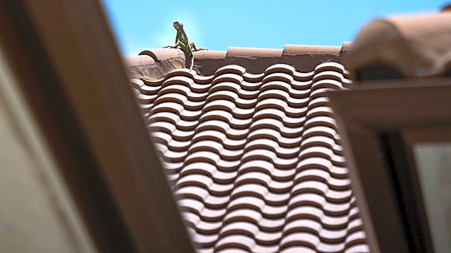 Jacksonville roofing pros for storm season protection