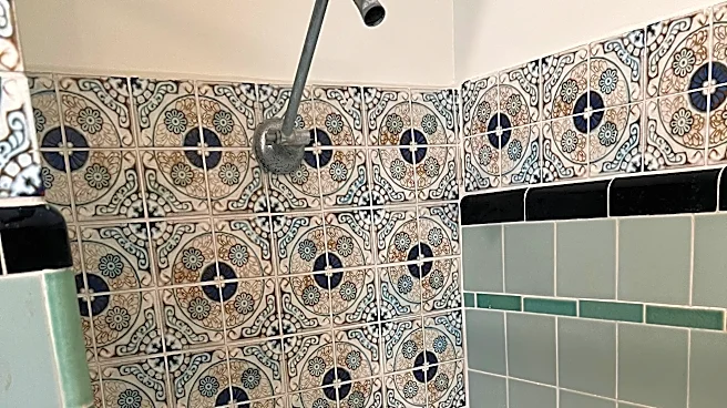 Jacksonville bathroom remodelers for modern upgrades