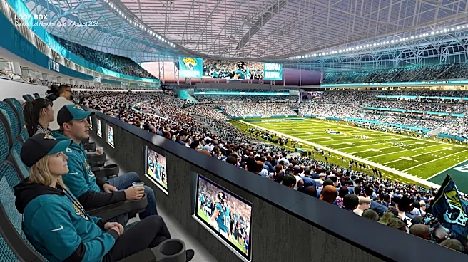 EverBank's new ViewScape canopy will offer a 'cooler' game for fans
