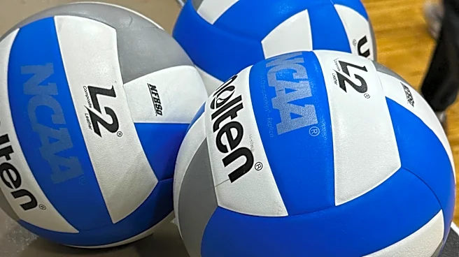 Nassau County: Volleyball incident 'inappropriate', denies racial slurs