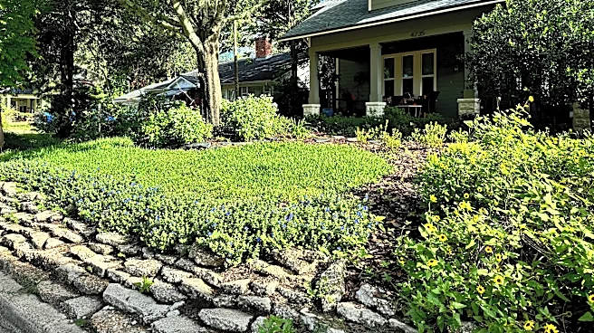 Dispelling 3 common myths of Florida-Friendly Landscaping